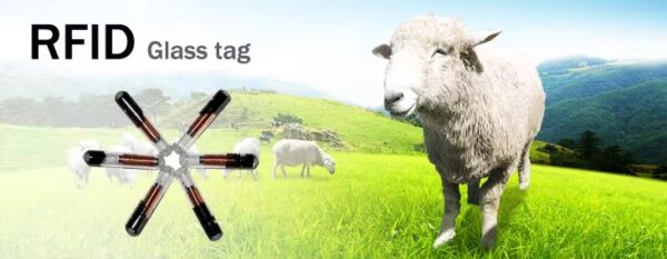 RFID Implant Micro Tags For Pet ID Tracking